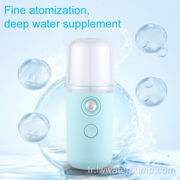 Vaporisateur facial portatif Ion Nano Face Spray